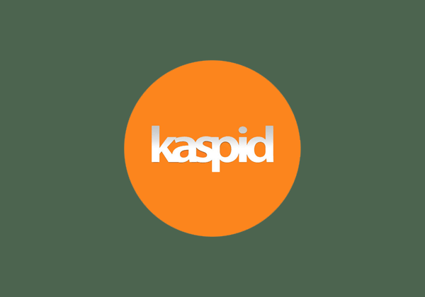 gsi-partners-kaspid